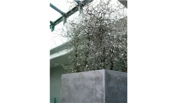 1A Garten Ammer