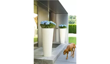 1A Garten Ammer