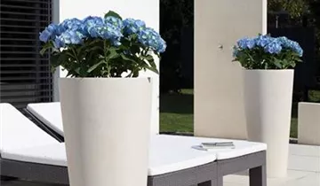 Bildvorschau