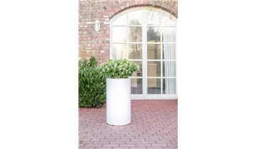 1A Garten Ammer