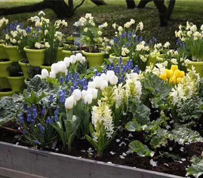 Möchten Sie Ihren Garten umstylen? So geht es ganz schnell 