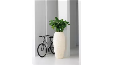 1A Garten Ammer