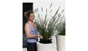1A Garten Ammer
