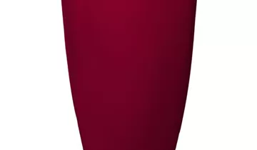 Bildvorschau