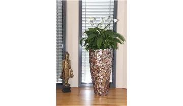 1A Garten Ammer