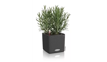 1A Garten Ammer