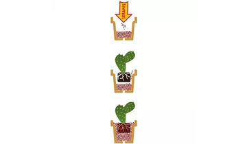 1A Garten Ammer