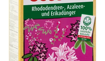 Bildvorschau