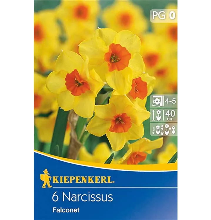 Narzissen