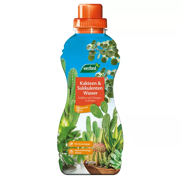 Westland Kakteen & Sukkulentenwasser 720 ml - 1A Garten Ammer