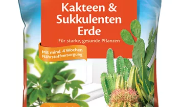 Bildvorschau