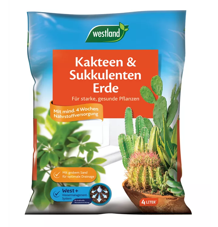 Westland Kakteen-&Sukkulentenerde 4 l