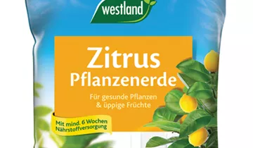 Bildvorschau