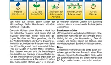 Bildvorschau
