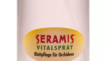 Bildvorschau