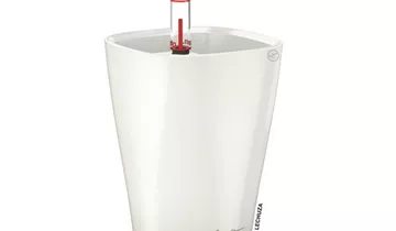 Bildvorschau