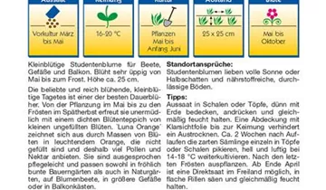 Bildvorschau