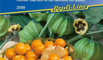 Bildvorschau