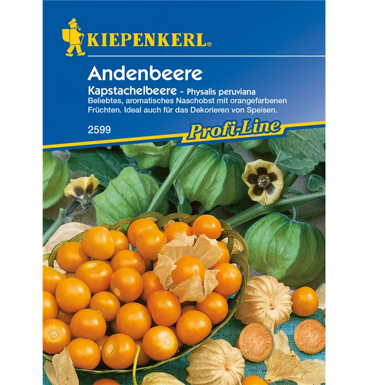 Physalis peruviana