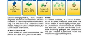 Bildvorschau