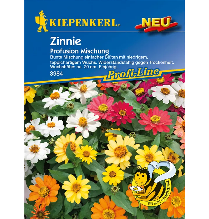Zinnia haageana 'Profusion'