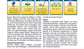 Bildvorschau