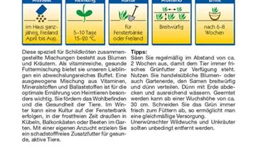 Bildvorschau