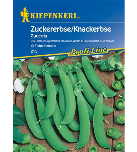 Zuckererbse 'Zuccola'