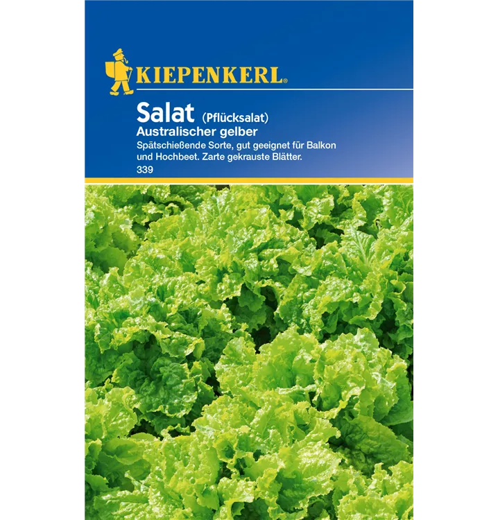 Lactuca sativa var. crispa 'Australische Gele'