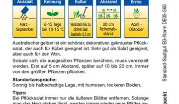 Bildvorschau