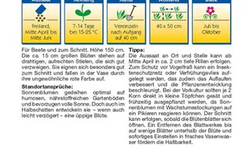Bildvorschau