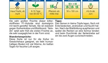 Bildvorschau
