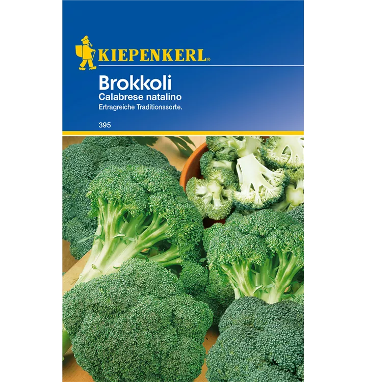 Brassica oleracea var. italica 'Calabrese natalino'