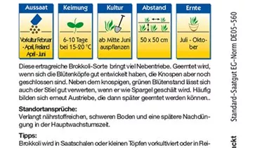 Bildvorschau