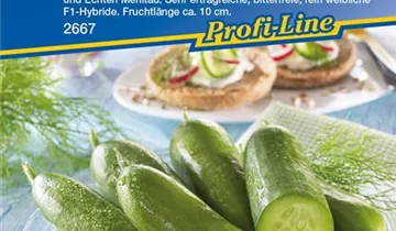 Bildvorschau