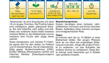 Bildvorschau