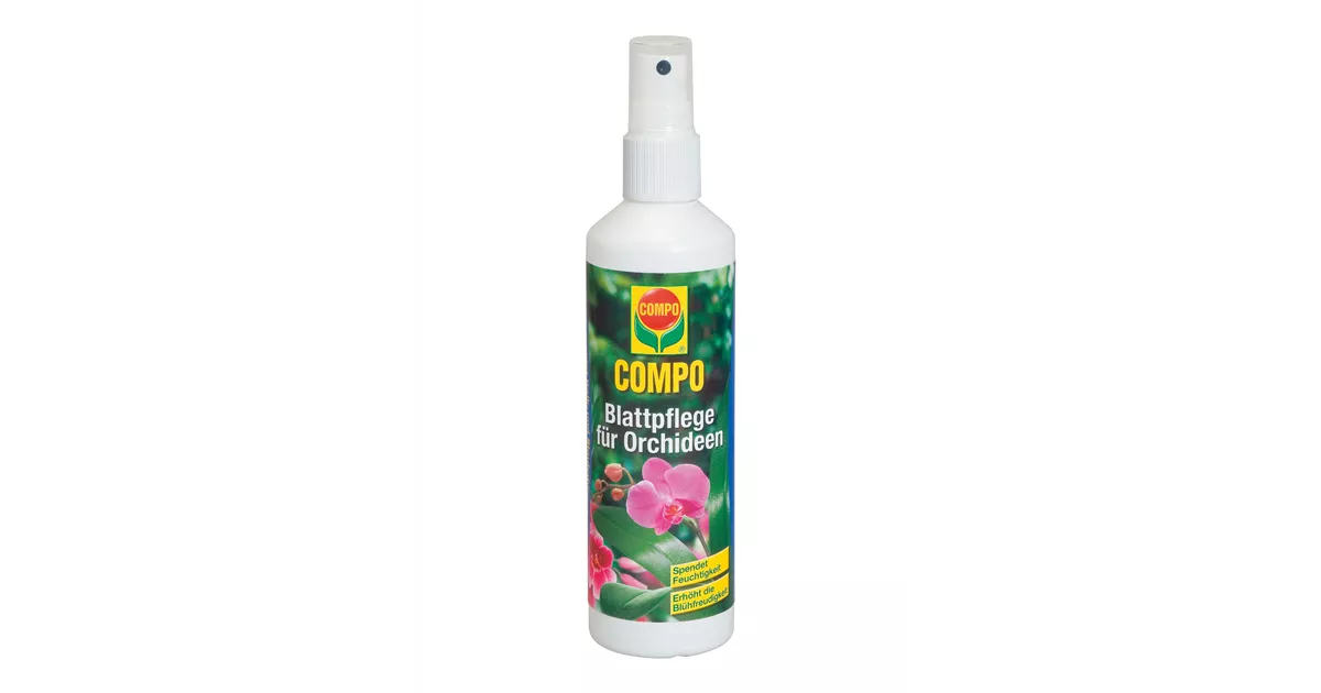saatgut kaufen bio BIO-Saatgut-Set Naschgarten 6 samenfeste Gartenpflanze kaufen main image 0