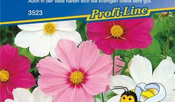 Bildvorschau