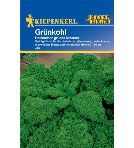 Grünkohl 'Halbhoher Grüner Krauser'
