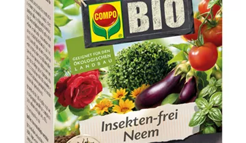 Bildvorschau