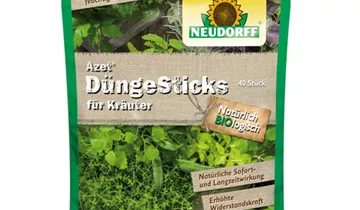 Bildvorschau