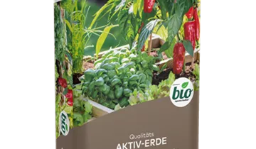 Bildvorschau