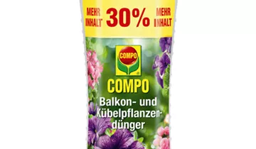 Bildvorschau