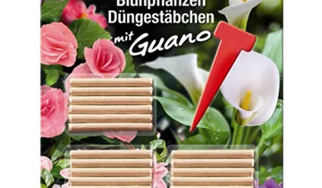 Bildvorschau