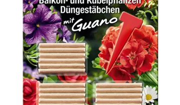 Bildvorschau