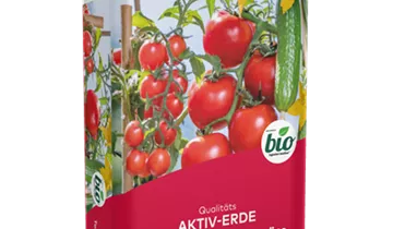 Bildvorschau