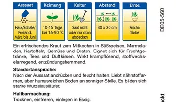 Bildvorschau