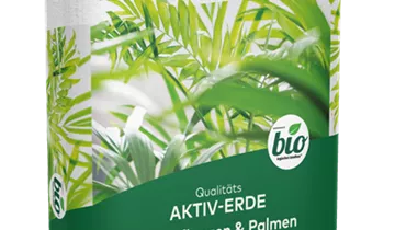 Bildvorschau