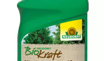 Bildvorschau