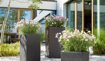 1A Garten Ammer